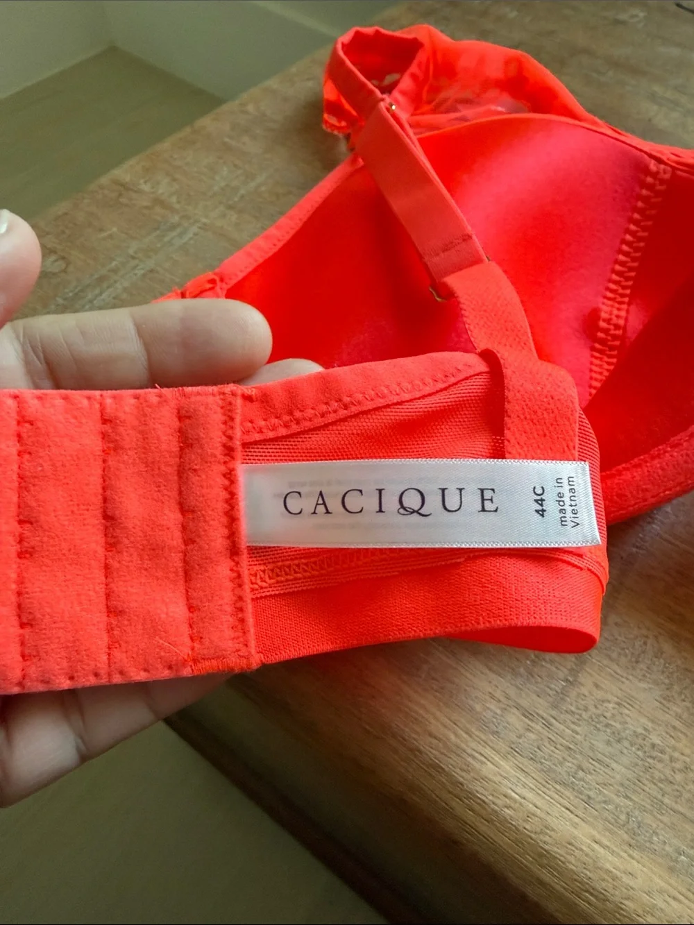 Cacique Lace Underwire Bras in Orange, Neon Pink, Purple & Lime
